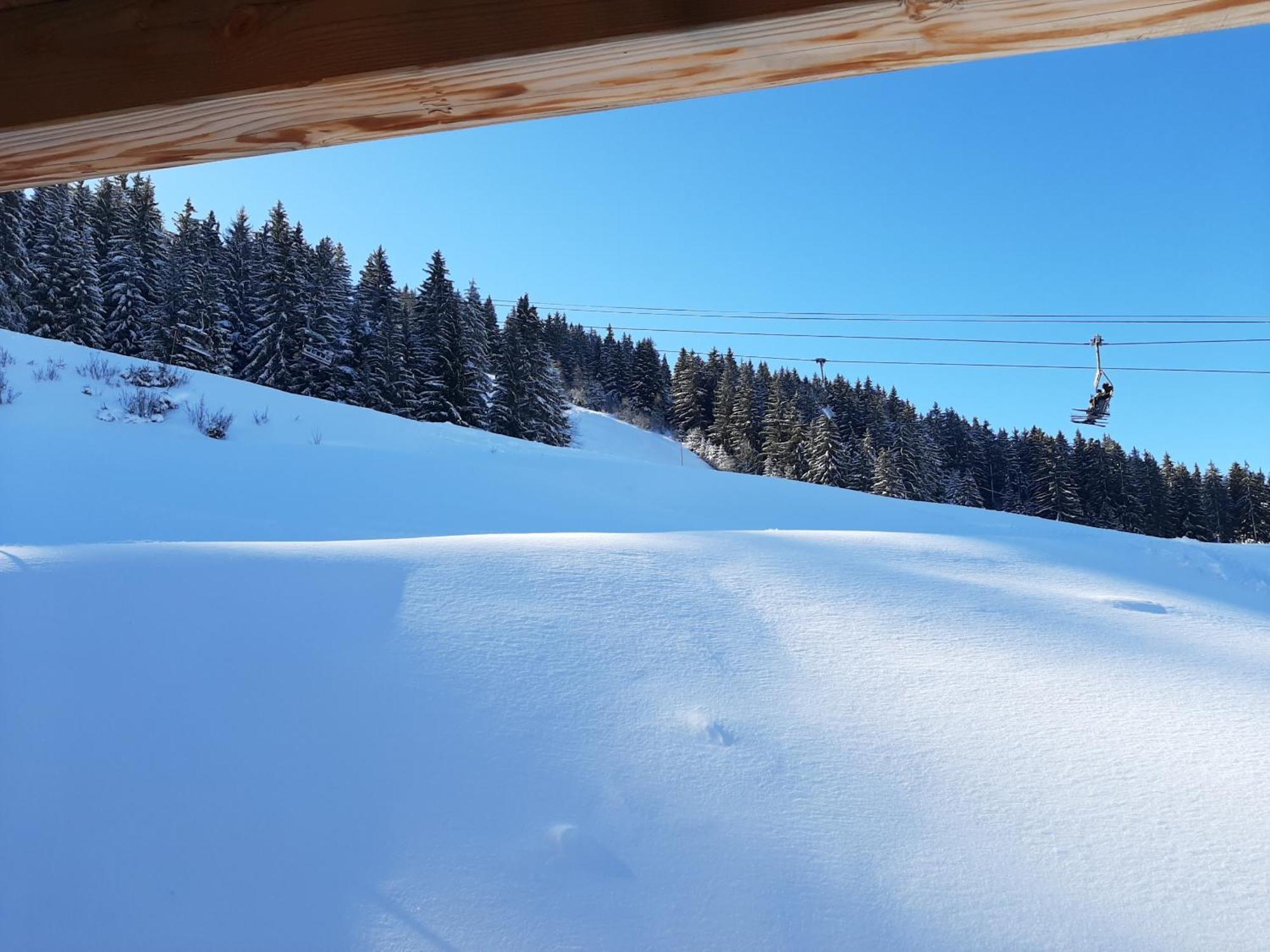 Les 7 Laux Immobilier Chalet F Prapoutel Exteriér fotografie